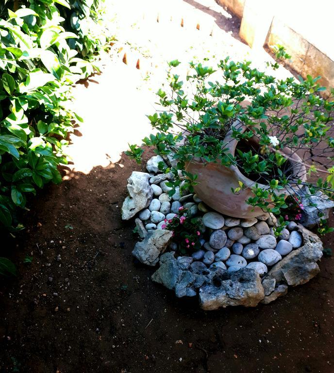 Villa Ivanka ซาตอน ภายนอก รูปภาพ